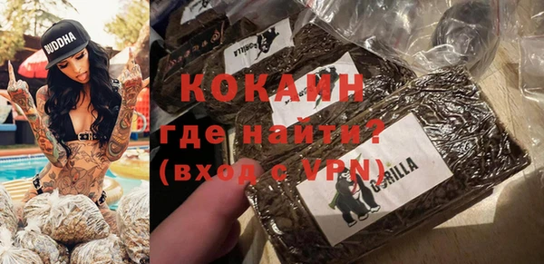 шишки Инта