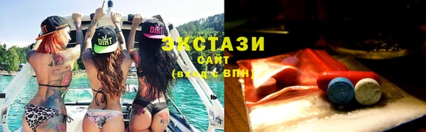 шишки Инта
