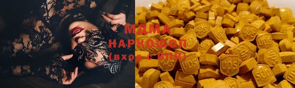 шишки Инта
