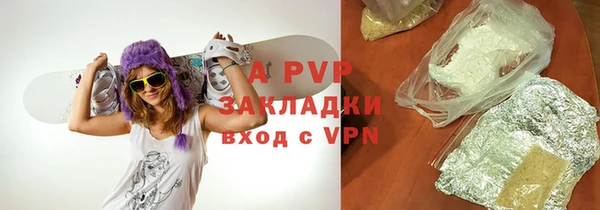 шишки Инта