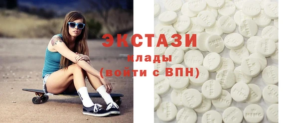 шишки Инта