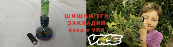 шишки Инта
