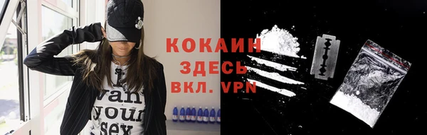 шишки Инта