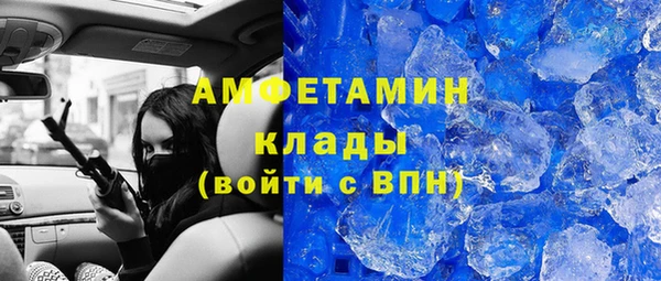 mdpv Инсар