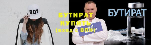 шишки Инта