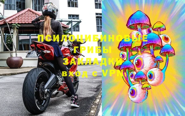 гашик Иннополис