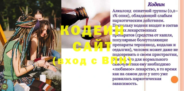 шишки Инта