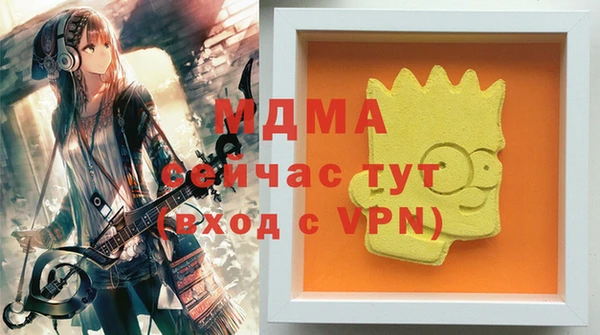 шишки Инта