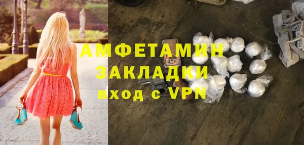 шишки Инта