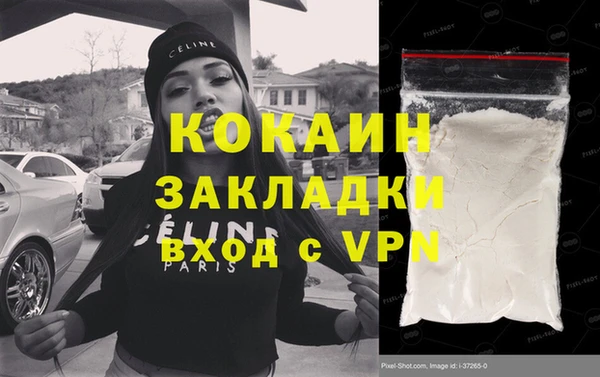 шишки Инта