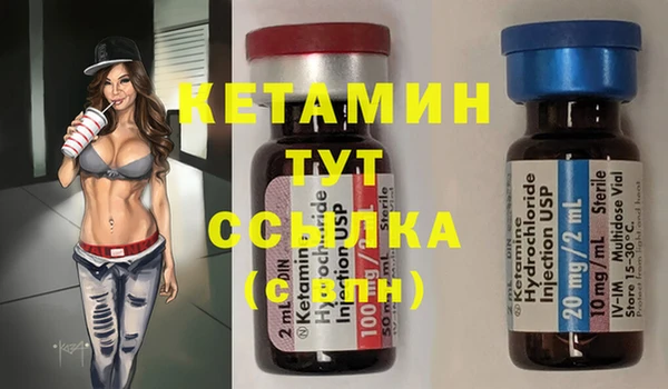шишки Инта