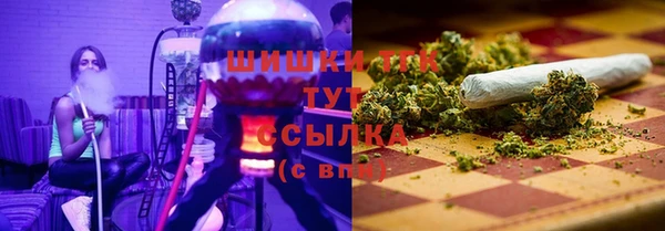 mdpv Инсар