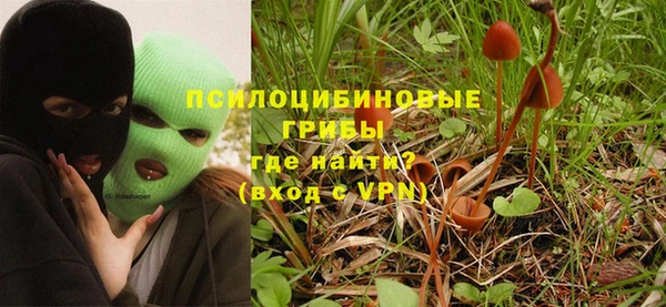 гашик Иннополис