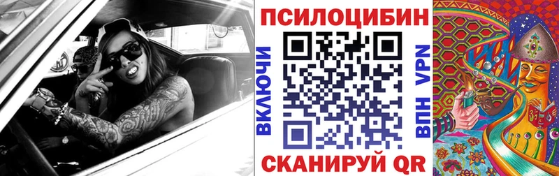 Псилоцибиновые грибы прущие грибы  Купить где  Егорьевск 